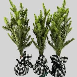 3‑PK Small Centerpiece Trees, 14" Tall – Black & White Fabric Base, Rustic Décor
